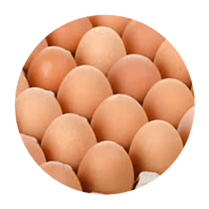 بيض